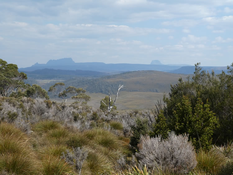 Tasmania Roadtrip Week 2 / 62 Murchison Highway.jpg
